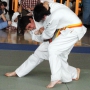 Judo JH 8.jpg